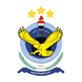 القوة الجوية