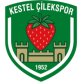 Kestelspor